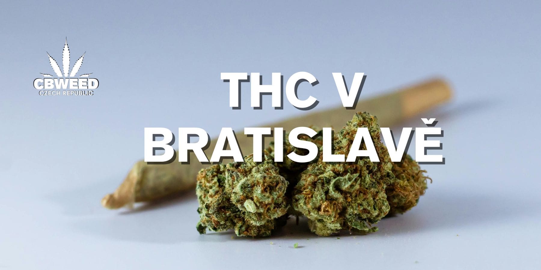 thc-bratislava